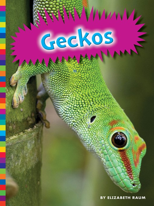 Title details for Geckos by Elizabeth Raum - Available